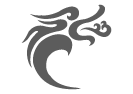 Zhejiang Loong Airlines Co. Ltd