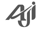 Afghan Jet International Airlines