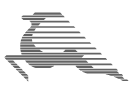 Tunisair Express