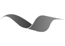 Novo Air